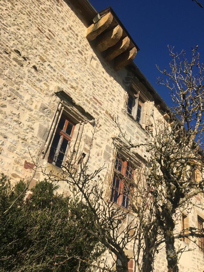 Saint-Félix-de-Lunel Le Chateau De Lunel מראה חיצוני תמונה